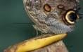 /album/zoo/img-7098-jpg/