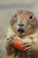 /album/zoo/img-6749-jpg/