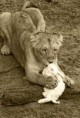 /album/zoo/img-7699-jpg/