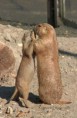 /album/zoo/img-84215-jpg/