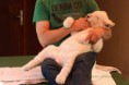 /album/zoo/img-9585-jpg/