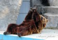 /album/zoo/img-2511-jpg/