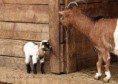/album/zoo/img-5150-jpg/