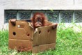 /album/zoo/img-2343-jpg/