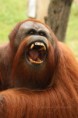 /album/zoo/img-2388-jpg/
