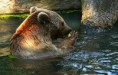 /album/zoo/img-5717-jpg/