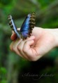 /album/zoo/img-8302-jpg/
