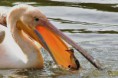 /album/zoo/img-6713-jpg/
