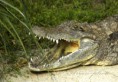 /album/zoo/img-7033-jpg/
