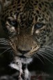/album/zoo/img-80031-jpg/