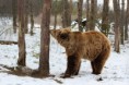 /album/zoo/img-6384-jpg/