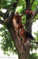 /album/zoo/img-7559-jpg/