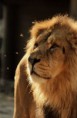 /album/zoo/img-7548-jpg/
