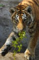 /album/zoo/img-0814-jpg/