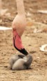 /album/zoo/img-8073-jpg/