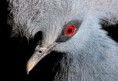 /album/zoo/img-3039-jpg/