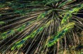 /album/zoo/img-4505-jpg/
