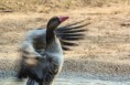 /album/zoo/img-7577-jpg/