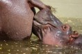 /album/zoo/img-3775-jpg/