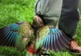 /album/zoo/img-1823-jpg/