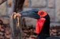 /album/zoo/img-9562-jpg/