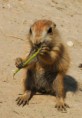 /album/zoo/img-6005-jpg/