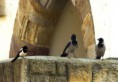/album/zoo/img-0835-jpg/