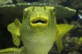 /album/zoo/img-7393-jpg/