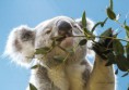 /album/zoo/img-7474-jpg/