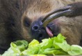 /album/zoo/img-7628-jpg/
