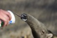 /album/zoo/img-8122-jpg/