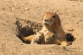 /album/zoo/img-6000-jpg/