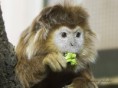 /album/zoo/img-9464-jpg/
