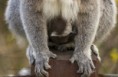 /album/zoo/img-9065-jpg/