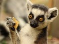 /album/zoo/img-9050-jpg/