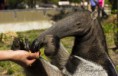/album/zoo/img-11417-jpg/