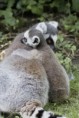 /album/zoo/img-9842-jpg/