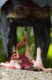 /album/zoo/img-1072-jpg/