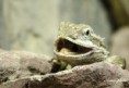 /album/zoo/img-3602-jpg/