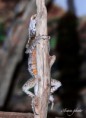/album/zoo/img-2262-jpg/