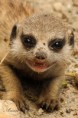 /album/zoo/img-4673-jpg/
