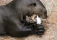 /album/zoo/img-0006-jpg/
