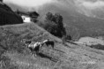 /album/fekete-feher-black-white/img-8642-jpg/